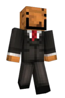 EthernetCookies Minecraft avatar full body