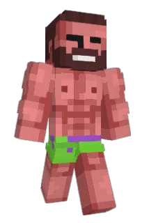 Etrimeq Minecraft avatar full body