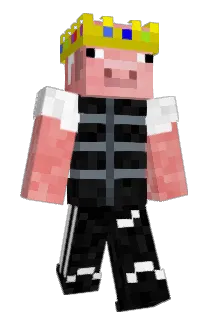 Eudog6913 Minecraft avatar full body