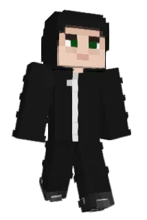 Euphoricseb Minecraft avatar full body