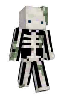 EvanG2233 Minecraft avatar full body
