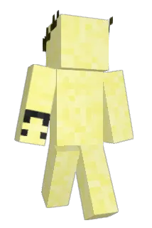 EvanMaloney Minecraft avatar full body