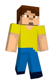 Evarin Minecraft avatar full body