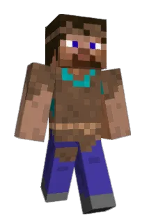 Everyman2608 Minecraft avatar full body