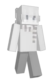 Everything Minecraft avatar full body