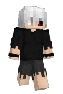 Evexro1 Minecraft avatar full body