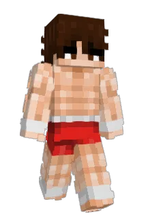 Evilerwolf112 Minecraft avatar full body