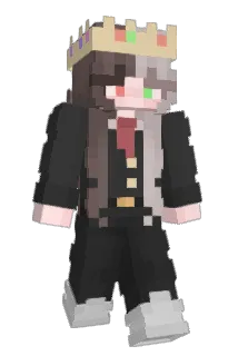 Evp11 Minecraft avatar full body
