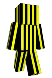 Evrendapro Minecraft avatar full body