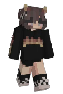 Evve1 Minecraft avatar full body
