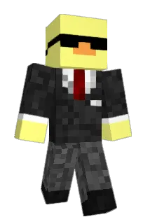 Evvis Minecraft avatar full body