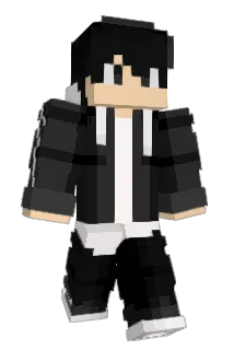 Evznn Minecraft avatar full body