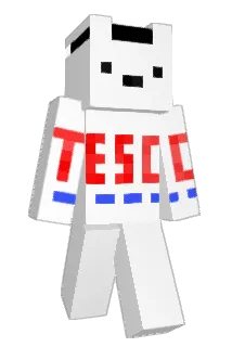 Ewj71 Minecraft avatar full body