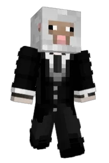 Ex Minecraft avatar full body