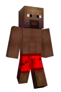 Exacet Minecraft avatar full body