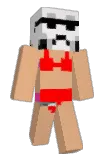Exceeeel Minecraft avatar full body