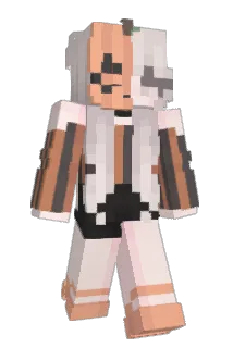 ExchangeProgram Minecraft avatar full body