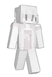 Exhibit Minecraft avatar full body