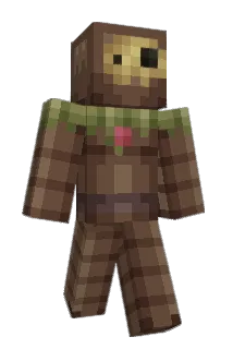 Exidor_ Minecraft avatar full body