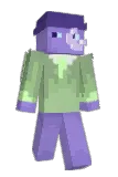 Expecify Minecraft avatar full body