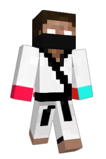 ExpertEFE Minecraft avatar full body