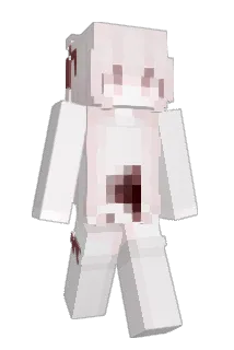 Extroverted Minecraft avatar full body