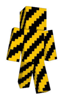 F111B Minecraft avatar full body