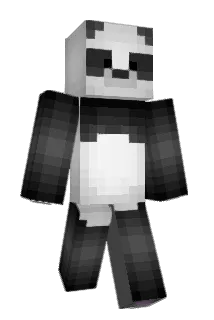 F1nans1st Minecraft avatar full body