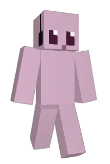 F22F8 Minecraft avatar full body