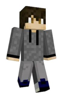 F4NNG Minecraft avatar full body