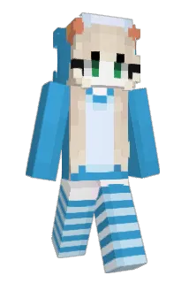 F5 Minecraft avatar full body