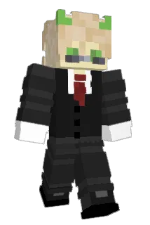 F7_9 Minecraft avatar full body