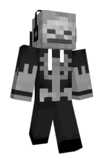 FAFAGO Minecraft avatar full body