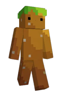 FAM1 Minecraft avatar full body