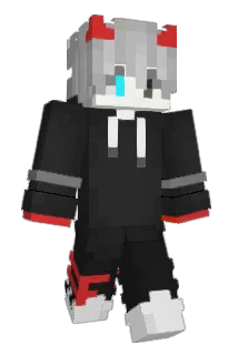 FAN29 Minecraft avatar full body