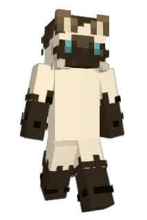 FBISeagull Minecraft avatar full body