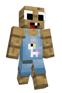 FBN07 Minecraft avatar full body
