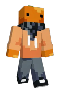 FC15_ Minecraft avatar full body