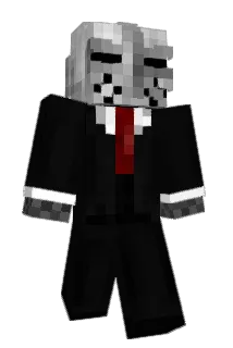FCoder Minecraft avatar full body