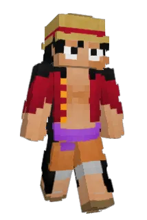 FE1N579 Minecraft avatar full body