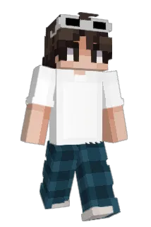 FE4JK Minecraft avatar full body