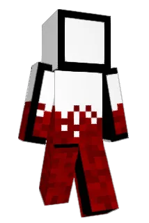 FEIQ_TERERO Minecraft avatar full body