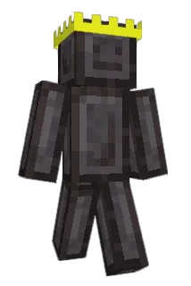 FER3305 Minecraft avatar full body