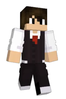 FER4777 Minecraft avatar full body