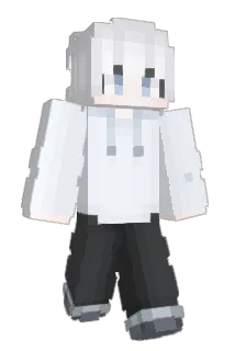 FFFWX Minecraft avatar full body