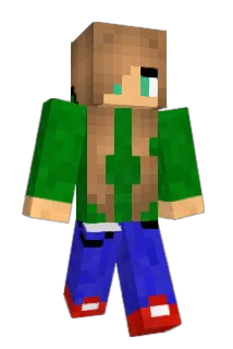 FGGT123 Minecraft avatar full body
