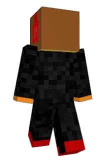 FG_1X Minecraft avatar full body