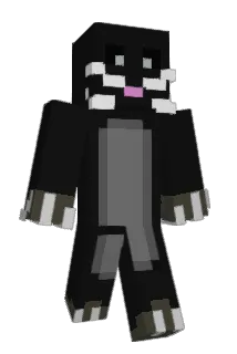 FHG_SchumaRo Minecraft avatar full body