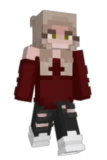 FINsnp11 Minecraft avatar full body