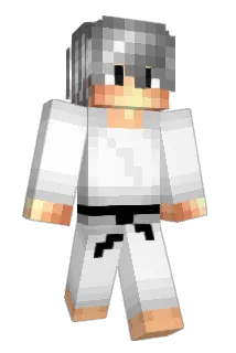 FIREADD Minecraft avatar full body